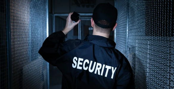 Alpha Security Services
