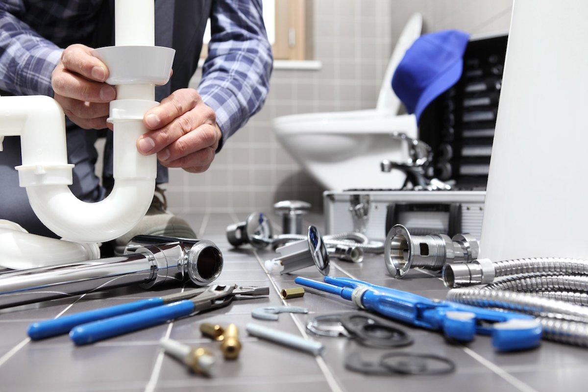 TN Services