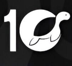 10 turtle