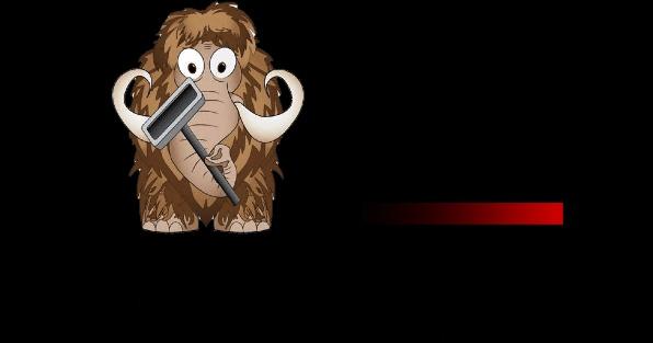 Mammoth Cleaners  Inc