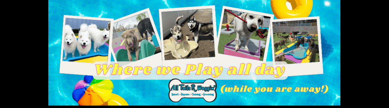 All Tails R Waggin