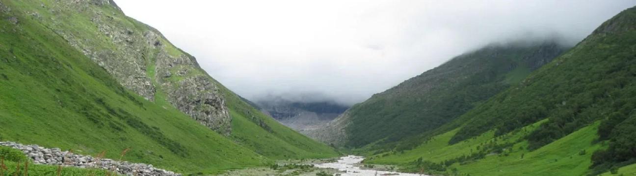 Valley Of Flowers